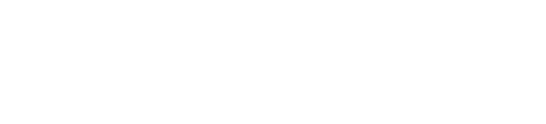 logo-horizontal-branco-tettrus